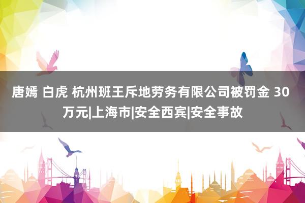 唐嫣 白虎 杭州班王斥地劳务有限公司被罚金 30 万元|上海市|安全西宾|安全事故