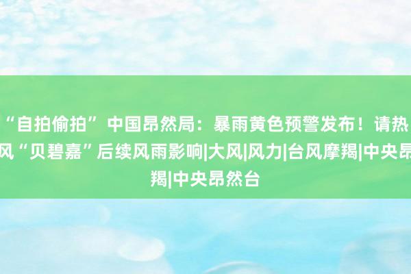 “自拍偷拍” 中国昂然局：暴雨黄色预警发布！请热心台风“贝碧嘉”后续风雨影响|大风|风力|台风摩羯|中央昂然台