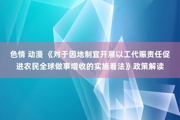 色情 动漫 《对于因地制宜开展以工代赈责任促进农民全球做事增收的实施看法》政策解读