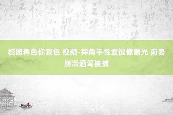 校园春色你我色 视频-摔角手性爱摄像曝光 前妻崩溃酒驾被捕