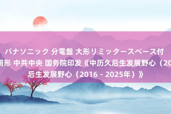 パナソニック 分電盤 大形リミッタースペース付 露出・半埋込両用形 中共中央 国务院印发《中历久后生发展野心（2016－2025年）》