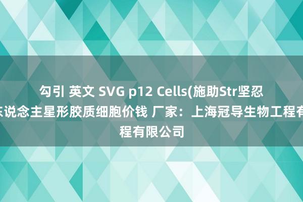 勾引 英文 SVG p12 Cells(施助Str坚忍讲述)|东说念主星形胶质细胞价钱 厂家：上海冠导生物工程有限公司