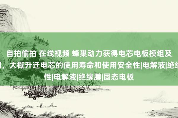 自拍偷拍 在线视频 蜂巢动力获得电芯电板模组及用电装配专利，大概升迁电芯的使用寿命和使用安全性|电解液|绝缘膜|固态电板