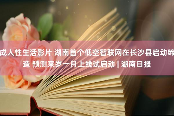 成人性生活影片 湖南首个低空智联网在长沙县启动缔造 预测来岁一月上线试启动 | 湖南日报